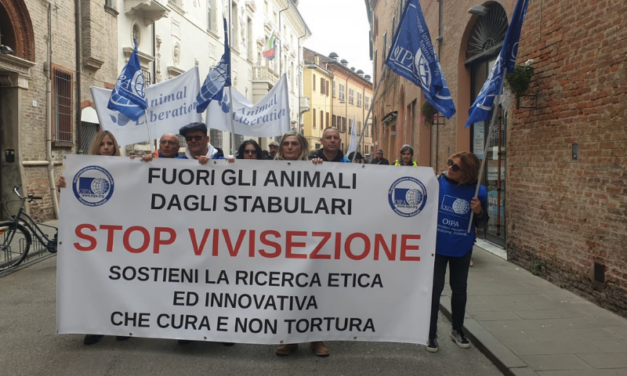 L’OIPA in piazza a Ferrara per chiedere la liberazione dei macachi dell’Università Unife