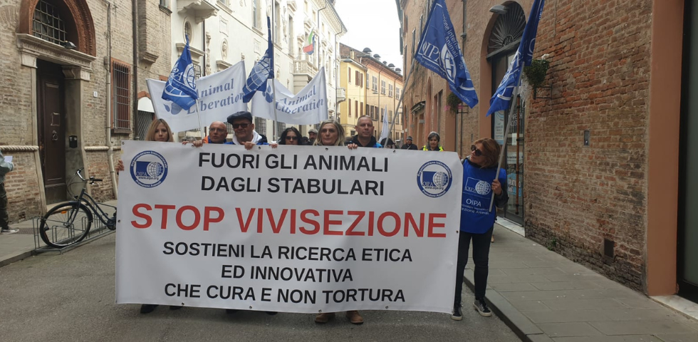 L’OIPA in piazza a Ferrara per chiedere la liberazione dei macachi dell’Università Unife