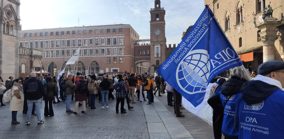 Manifestazione Ferrara macachi