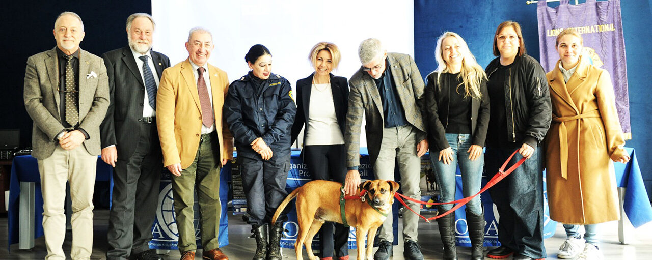 Incontro “Cane: il diritto di esserci” a Catania, un confronto per una convivenza responsabile tra cani e persone 