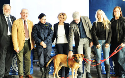 Incontro “Cane: il diritto di esserci” a Catania, un confronto per una convivenza responsabile tra cani e persone 