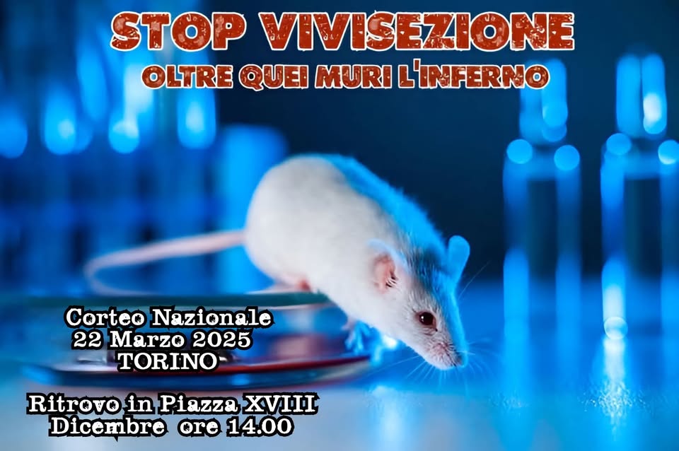 A Torino, il 22 marzo anche l’OIPA al corteo nazionale contro la vivisezione: partecipa per dire no a questa violenza