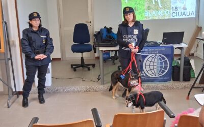 Un carnevale speciale con gli amici a 4zampe: Camilla, Speedo e Taddeo in biblioteca insieme alle guardie zoofile OIPA per educare i più piccini al rispetto degli animali